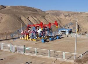 油田遠(yuan)程數據監(jian)控係(xi)統