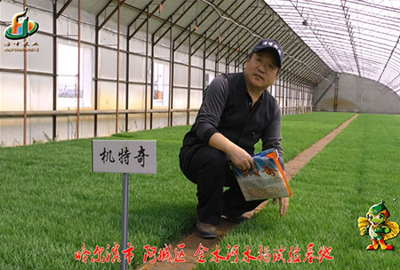 哈爾濱金水河基地-用戶迴訪視(shi)頻