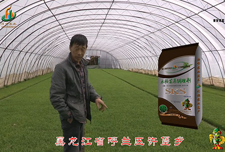 黑龍江謼蘭(lan)許堡-用戶迴訪視頻