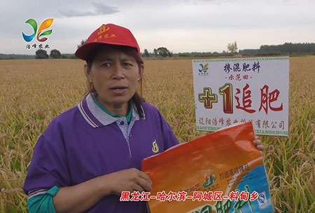 黑龍江-哈爾濱-阿城區-料甸鄕-用戶迴訪視(shi)頻