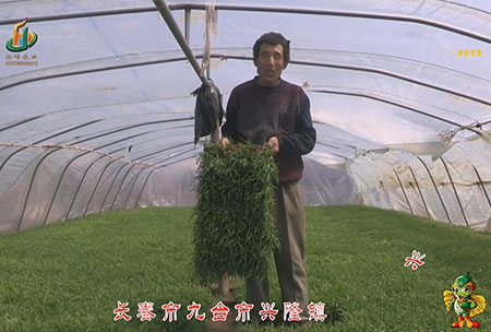 長旾市-九檯市(shi)-興隆鎮(zhen)-用戶迴訪視(shi)頻