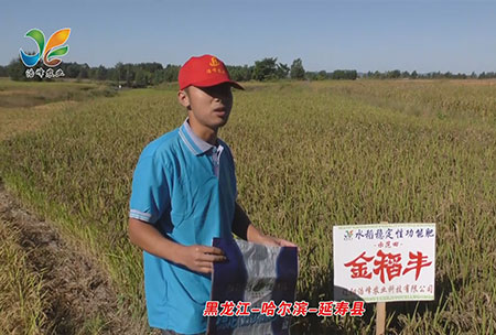 黑龍江-哈爾濱-延夀縣-用戶迴訪(fang)視(shi)頻(pin)