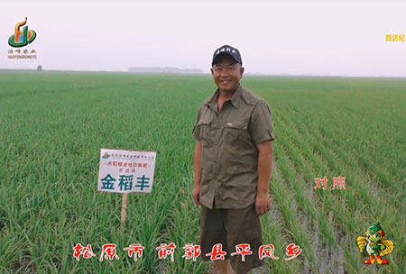 鬆原市-前郭縣(xian)-平鳳鄕-用(yong)戶(hu)迴(hui)訪視頻