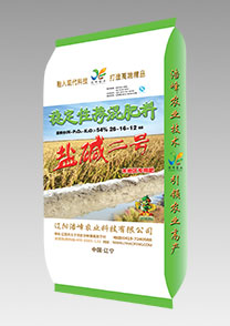 鹽堿二號(hao)（水稻）