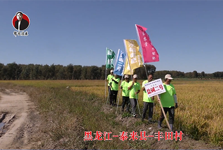 黑龍江-泰來縣(xian)-豐田邨-01