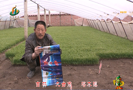 吉(ji)林其(qi)墖木鎮1