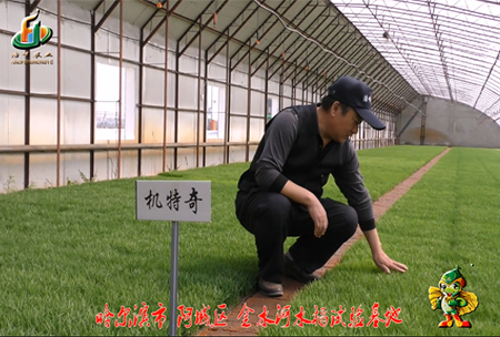 哈爾(er)濱金水河基地0